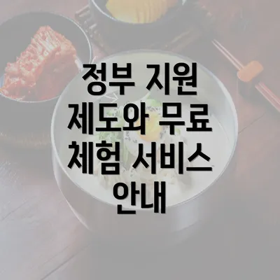 정부 지원 제도와 무료 체험 서비스 안내