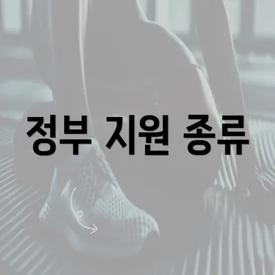 정부 지원 종류