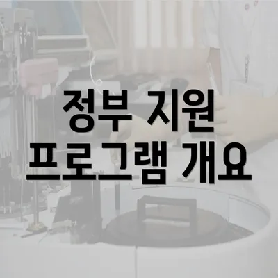 정부 지원 프로그램 개요