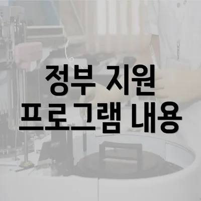 정부 지원 프로그램 내용