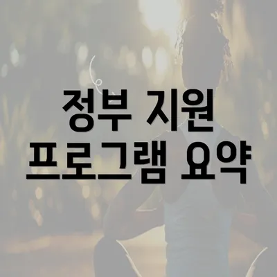 정부 지원 프로그램 요약