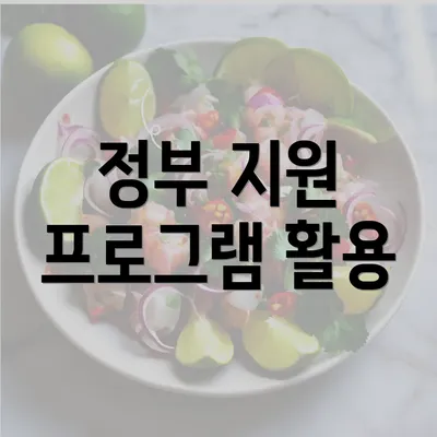 정부 지원 프로그램 활용