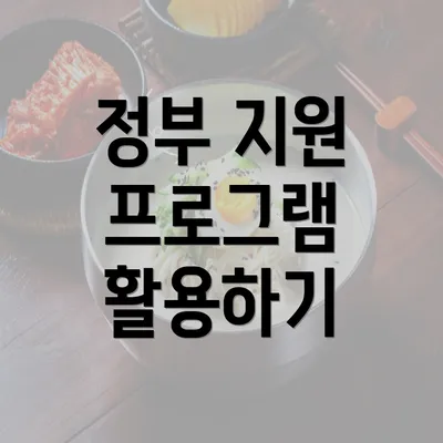 정부 지원 프로그램 활용하기