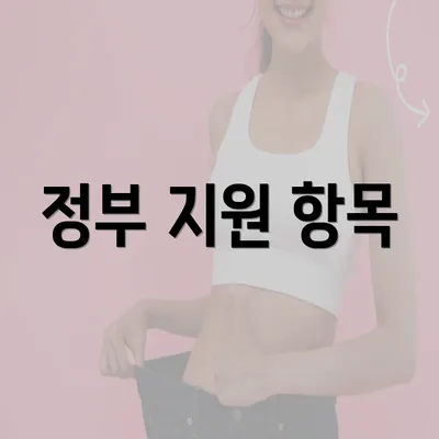 정부 지원 항목