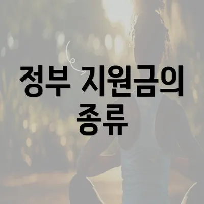 정부 지원금의 종류