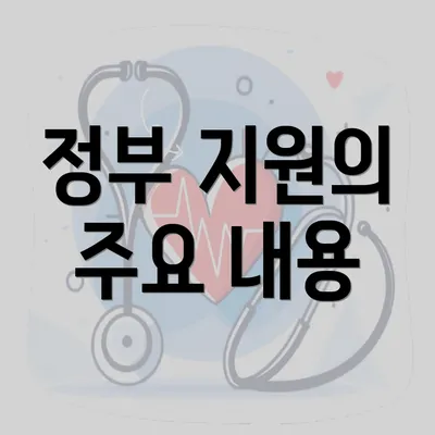 정부 지원의 주요 내용