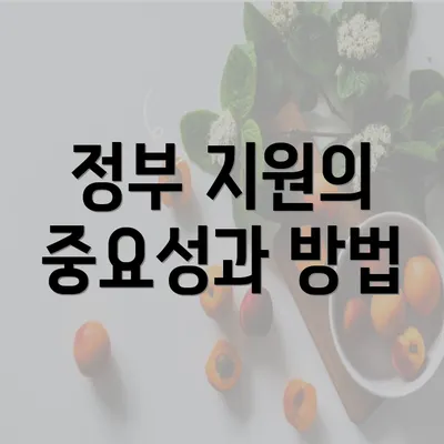 정부 지원의 중요성과 방법