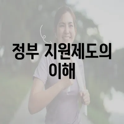 정부 지원제도의 이해