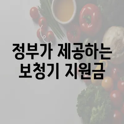 정부가 제공하는 보청기 지원금