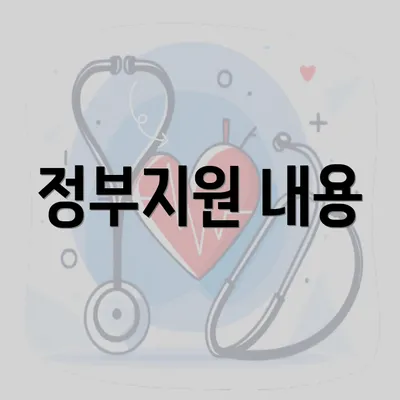 정부지원 내용