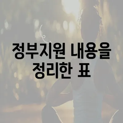 정부지원 내용을 정리한 표