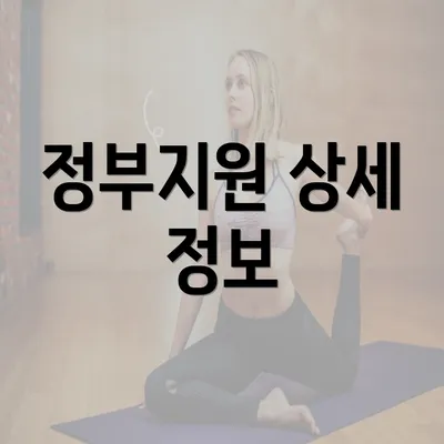 정부지원 상세 정보