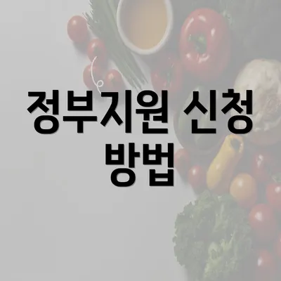 정부지원 신청 방법