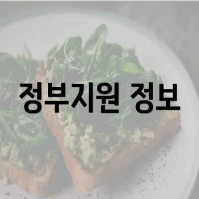 정부지원 정보