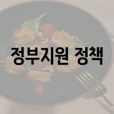 정부지원 정책