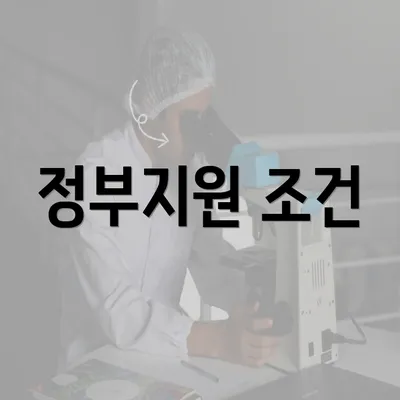 정부지원 조건