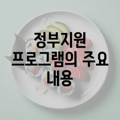 정부지원 프로그램의 주요 내용