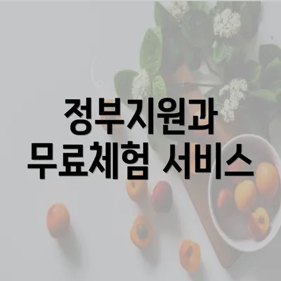 정부지원과 무료체험 서비스