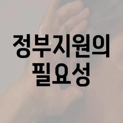 정부지원의 필요성