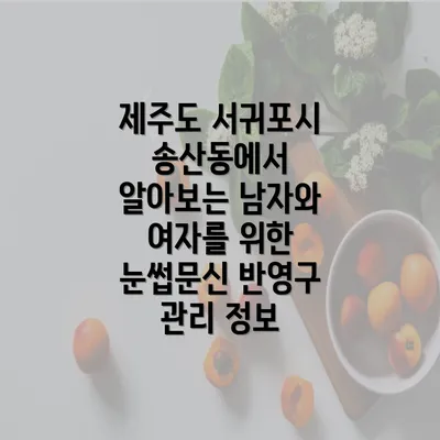 제주도 서귀포시 송산동에서 알아보는 남자와 여자를 위한 눈썹문신 반영구 관리 정보