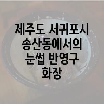 제주도 서귀포시 송산동에서의 눈썹 반영구 화장