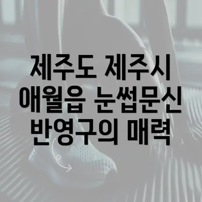 제주도 제주시 애월읍 눈썹문신 반영구의 매력