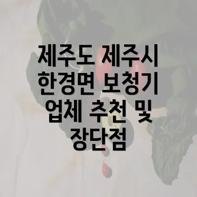 제주도 제주시 한경면 보청기 업체 추천 및 장단점