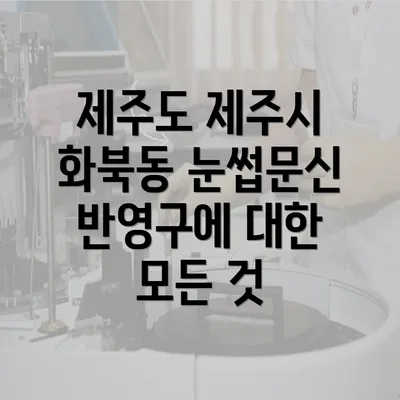 제주도 제주시 화북동 눈썹문신 반영구에 대한 모든 것