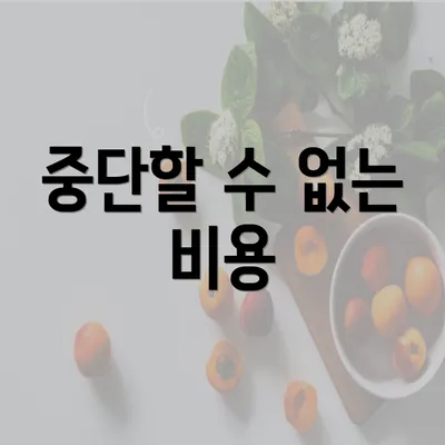 중단할 수 없는 비용