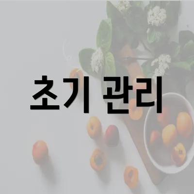 초기 관리