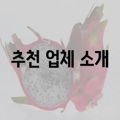 추천 업체 소개