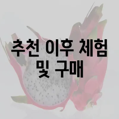 추천 이후 체험 및 구매