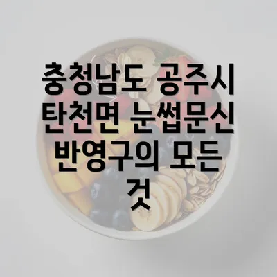 충청남도 공주시 탄천면 눈썹문신 반영구의 모든 것