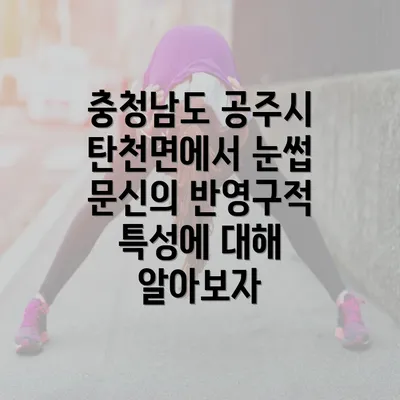 충청남도 공주시 탄천면에서 눈썹 문신의 반영구적 특성에 대해 알아보자