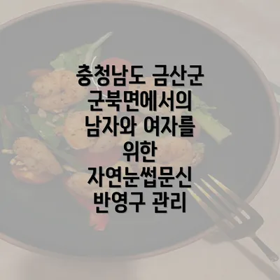 충청남도 금산군 군북면에서의 남자와 여자를 위한 자연눈썹문신 반영구 관리