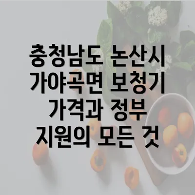 충청남도 논산시 가야곡면 보청기 가격과 정부 지원의 모든 것