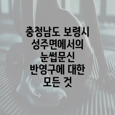 충청남도 보령시 성주면에서의 눈썹문신 반영구에 대한 모든 것