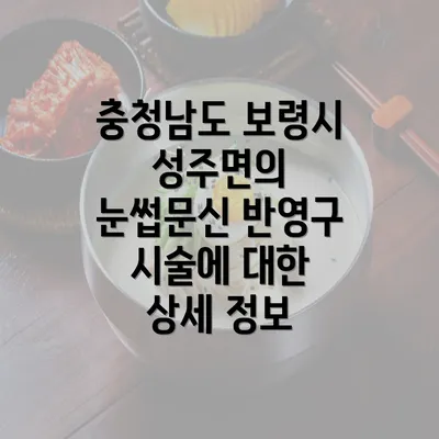 충청남도 보령시 성주면의 눈썹문신 반영구 시술에 대한 상세 정보