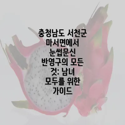 충청남도 서천군 마서면에서 눈썹문신 반영구의 모든 것: 남녀 모두를 위한 가이드