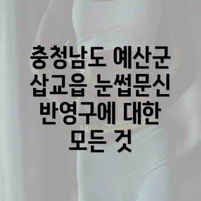 충청남도 예산군 삽교읍 눈썹문신 반영구에 대한 모든 것