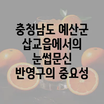 충청남도 예산군 삽교읍에서의 눈썹문신 반영구의 중요성