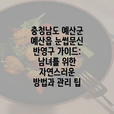 충청남도 예산군 예산읍 눈썹문신 반영구 가이드: 남녀를 위한 자연스러운 방법과 관리 팁