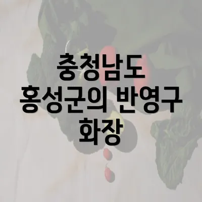 충청남도 홍성군의 반영구 화장