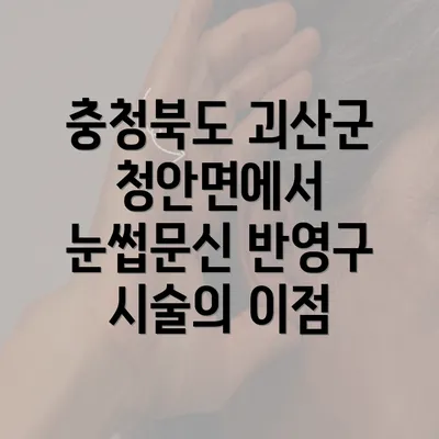 충청북도 괴산군 청안면에서 눈썹문신 반영구 관리와 가격 안내