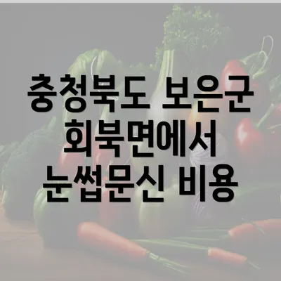 충청북도 보은군 회북면에서 눈썹문신 비용