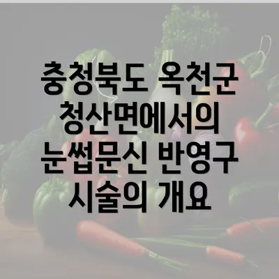 충청북도 옥천군 청산면에서의 눈썹문신 반영구 시술의 개요