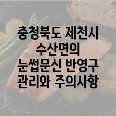 충청북도 제천시 수산면의 눈썹문신 반영구 관리와 주의사항