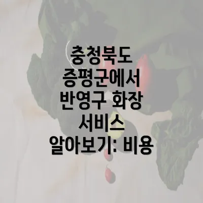 충청북도 증평군에서 반영구 화장 서비스 알아보기: 비용