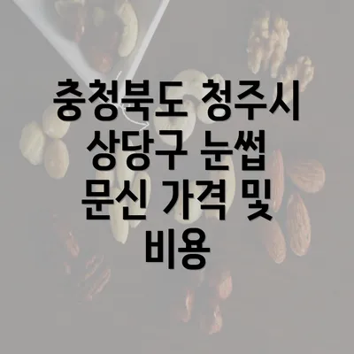 충청북도 청주시 상당구 눈썹 문신 가격 및 비용