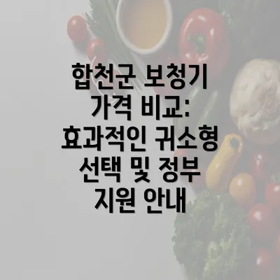 합천군 보청기 가격 비교: 효과적인 귀소형 선택 및 정부 지원 안내